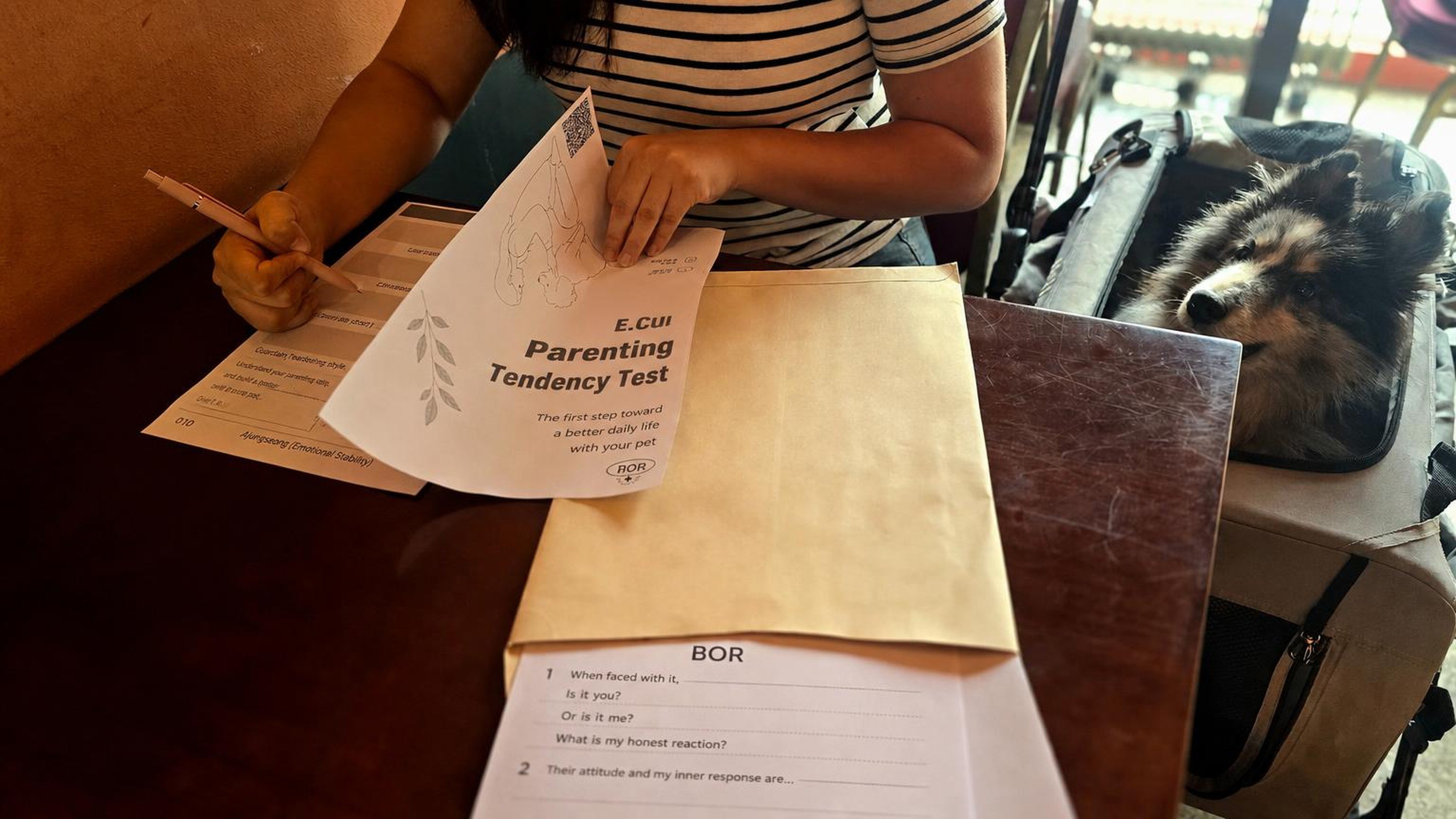 [Pet & Owner Compatibility Test] Discover Your True Bond