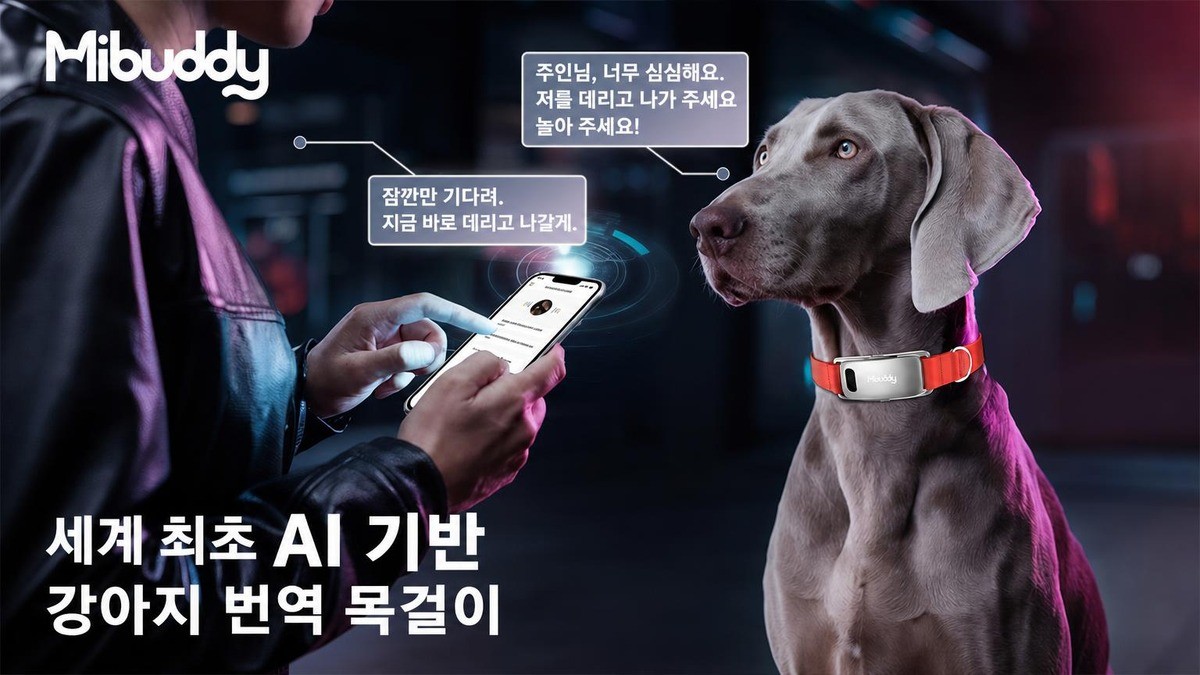 펫 AI 스마트 통역 목걸이