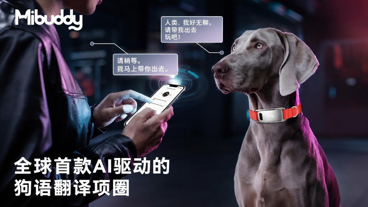宠物智能翻译项圈